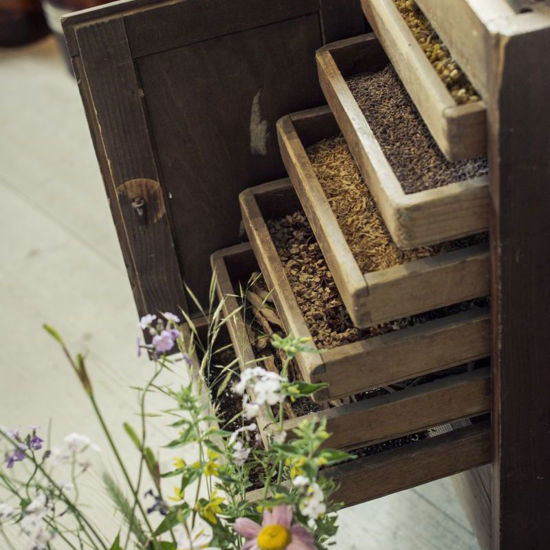 Image sur Führung Kräutergarten pauschal