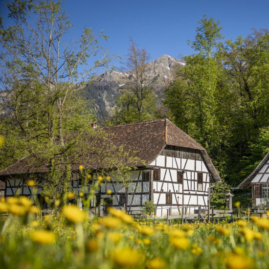 Picture of Seltene Orte, besondere Geschichten