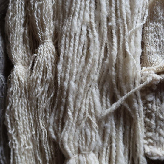 Bild von Spinnen - Grund- und Aufbaukurs