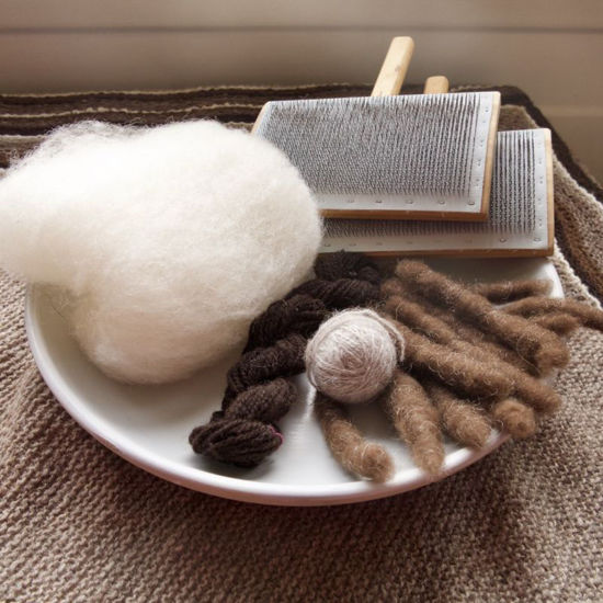 Immagine di Spinnen - Grundkurs Streichgarn