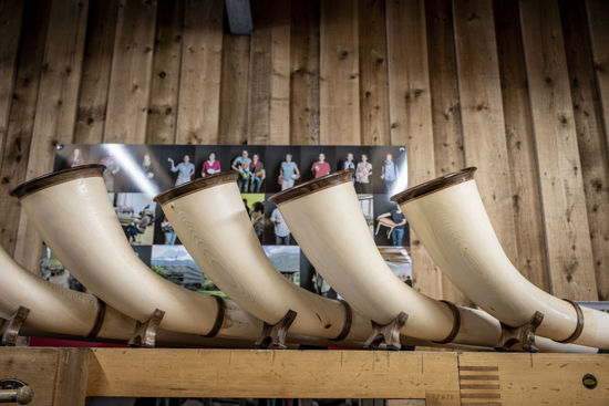 Bild von Instrumentenbauen - Alphorn