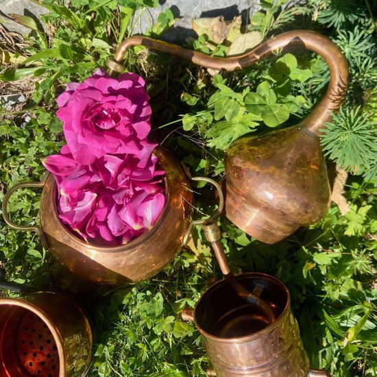 Picture of Destillieren von Pflanzenwasser