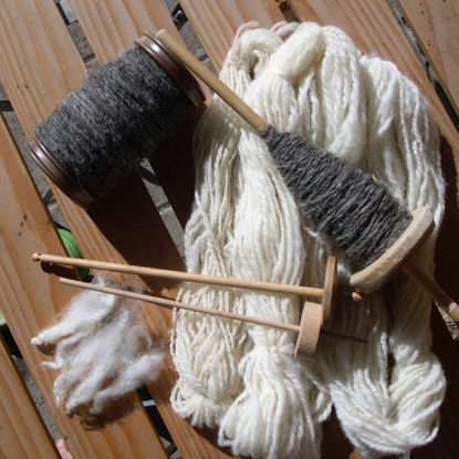 Bild von Spinnen - Grund- und Aufbaukurs