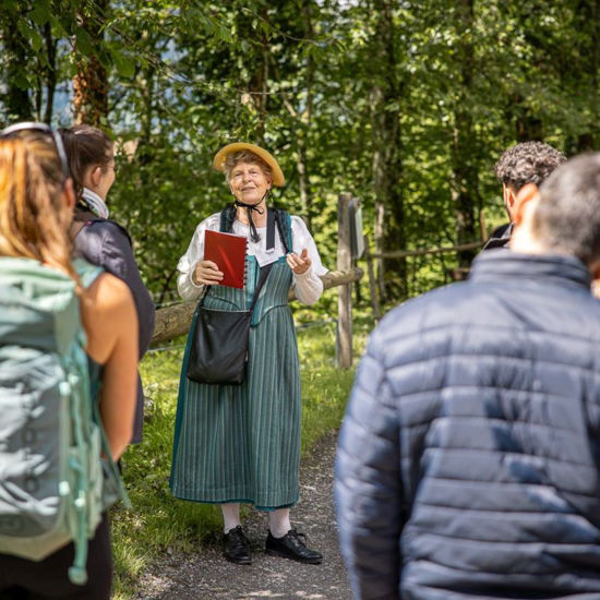 Picture of Kurzführung Pauschal