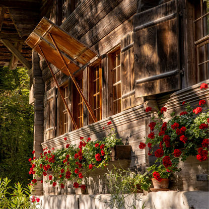 Image de Bon d'achat en ligne CHF 40.00