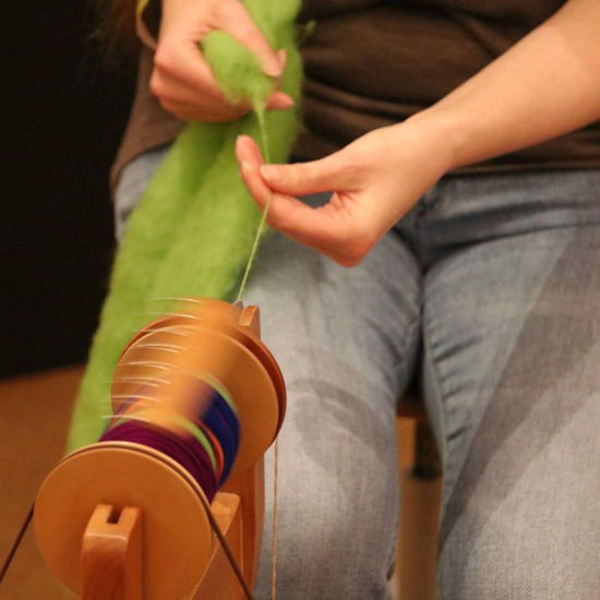 Picture of Spinnen - Schnupperkurs