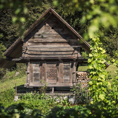 Immagine di Führung Selbstversorgung pauschal