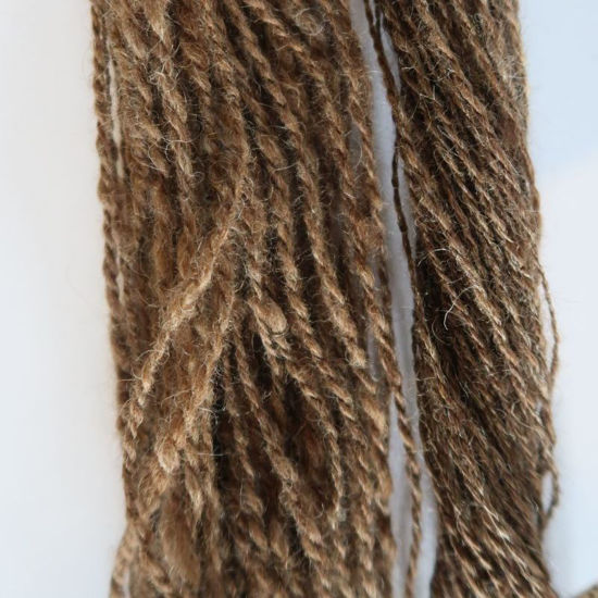 Bild von Spinnen - Grund- und Aufbaukurs