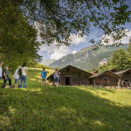 Picture of Kurzführung Pauschal