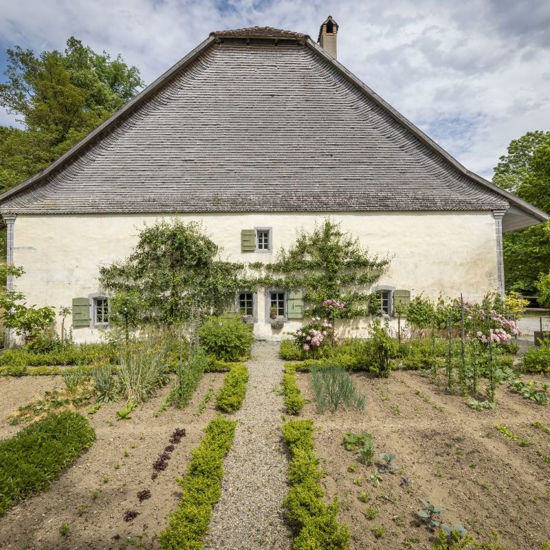 Picture of Veredeln von Obstbäumen