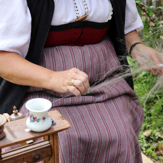 Picture of Spinnen - Flachs
