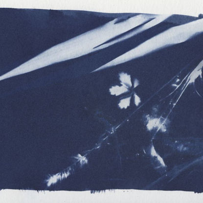 Image de Abbilden - Cyanotypie