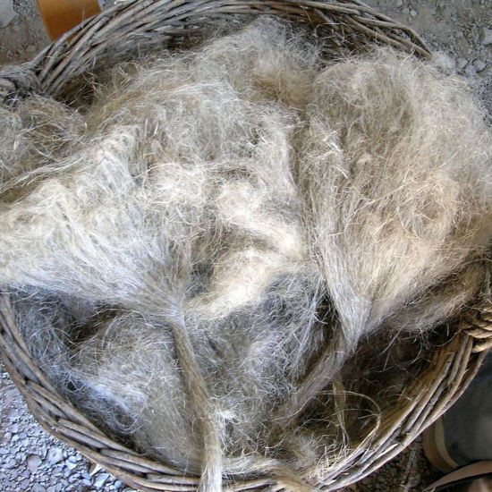 Picture of Spinnen - Flachs