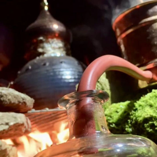 Picture of Destillieren von Pflanzenwasser