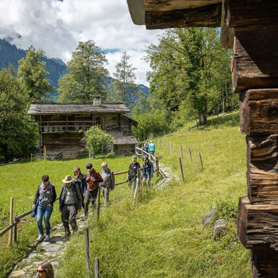 Picture of Kurzführung Pauschal