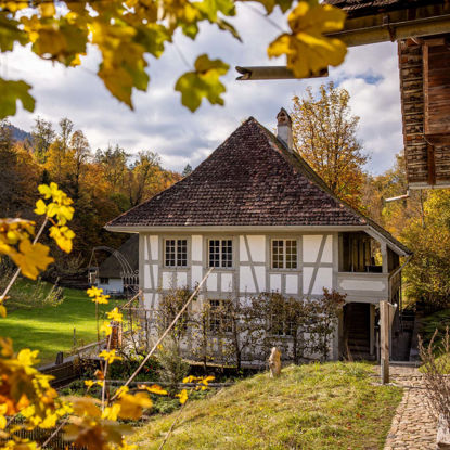 Image de Billet combiné famille Ballenberg & Trauffer KUHniversum