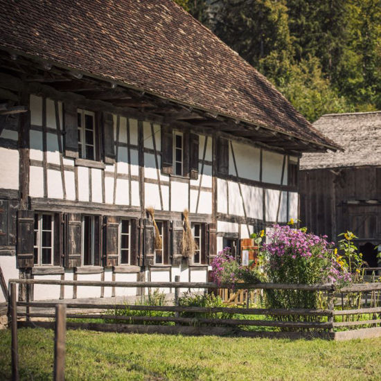 Picture of Seltene Orte, besondere Geschichten