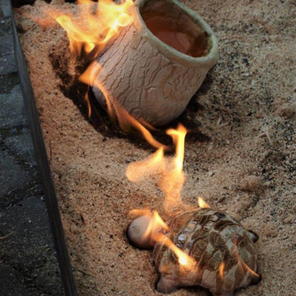 Picture of Töpfern - Raku (1 Tag Töpfern/Formen und 1 Tag Brennen)