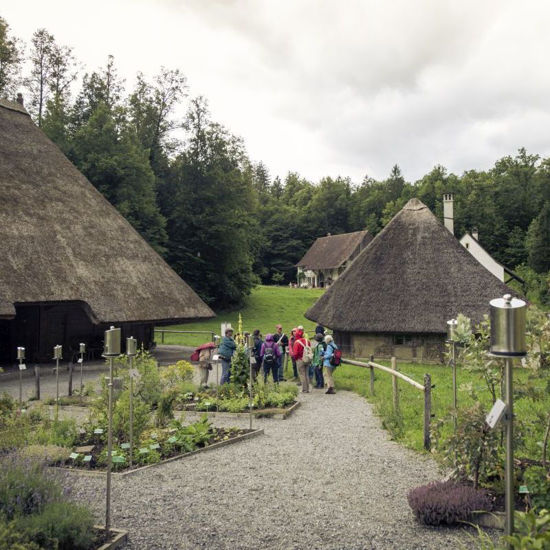 Image sur Führung Kräutergarten pauschal