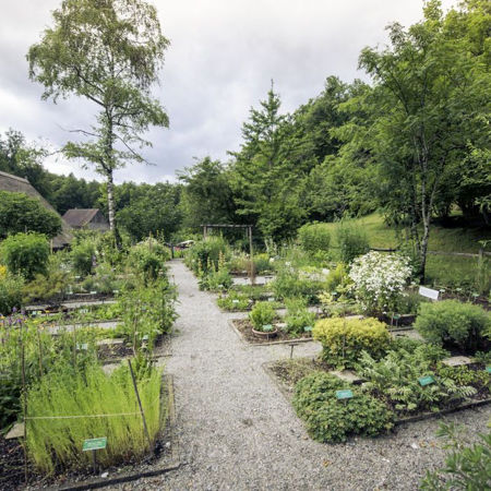 Picture for category Garden & Health