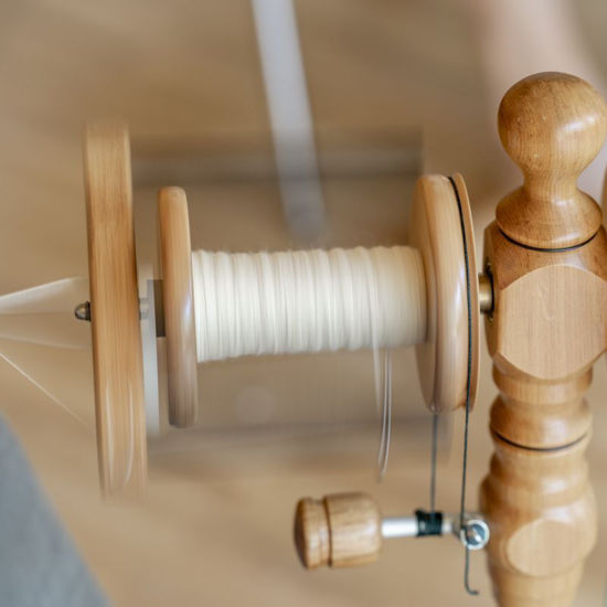 Immagine di Spinnen - Grund- und Aufbaukurs