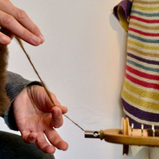 Immagine di Spinnen - Grundkurs Streichgarn